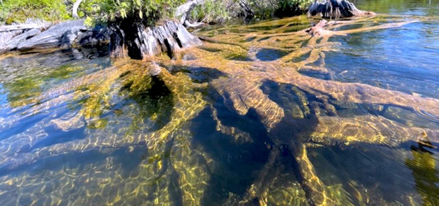 Friends of Lake Leelanau Makes First Grant
