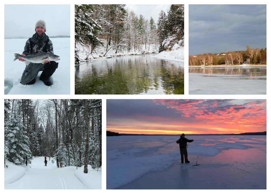 February 2026 Newsletter